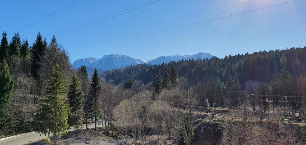 Pensiunea Alpin Predeal Exteriér fotografie