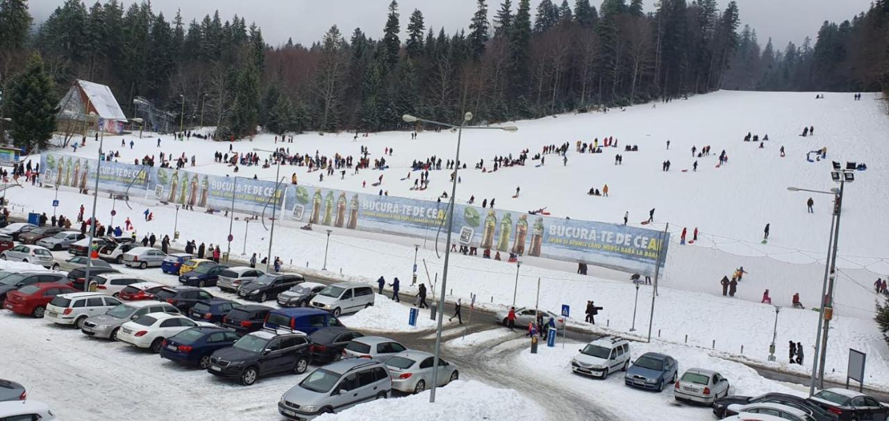 Pensiunea Alpin Predeal Exteriér fotografie
